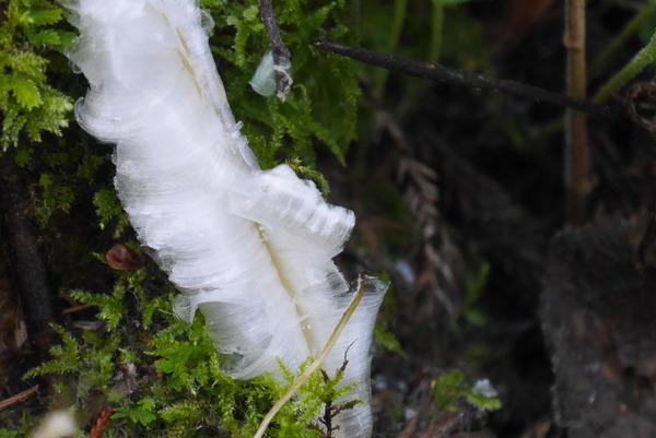 P1180783