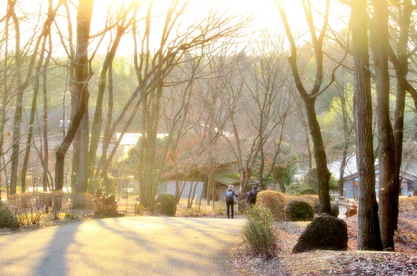 LINE_ALBUM_徳次郎アルプス、宇都宮アルプス_260119_25