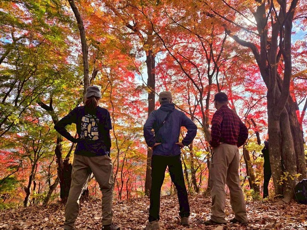 LINE_ALBUM_ナベコロアルバム_251120_22