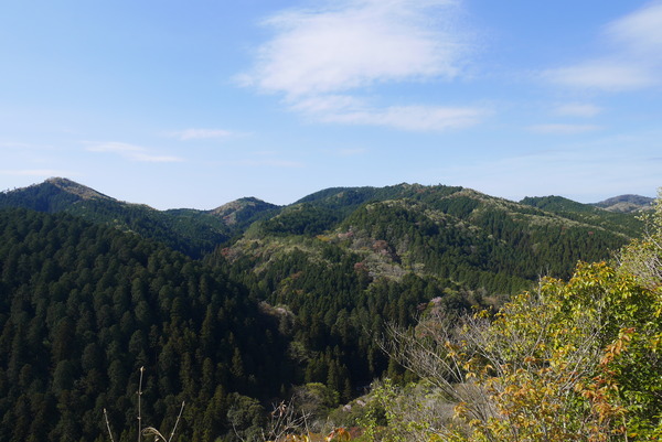 P1200768