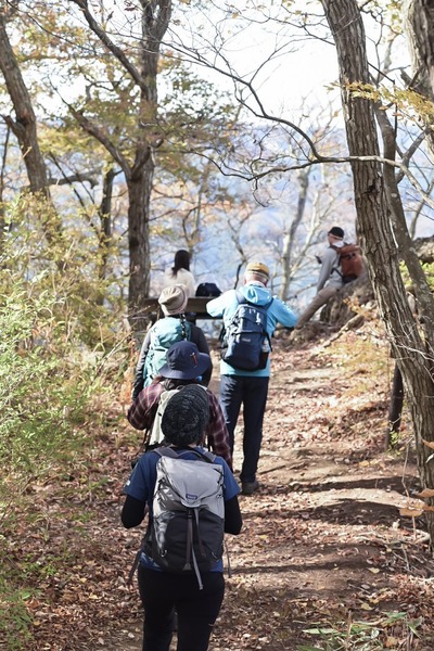 LINE_ALBUM_紅葉の生瀬富士・月居山_241126_6