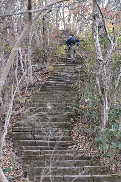 LINE_ALBUM_紅葉の生瀬富士・月居山_241125_14