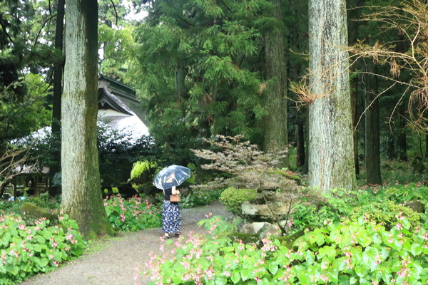 IMG_2267 - コピー