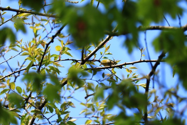 IMG_7262 (2)