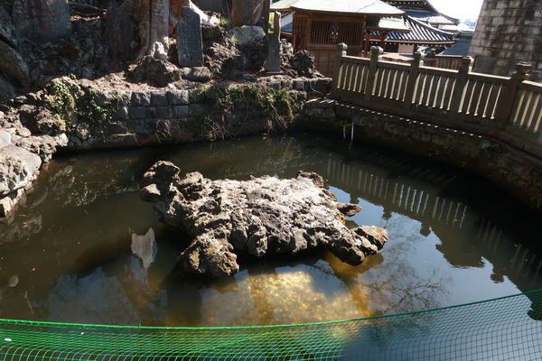 IMG_2392