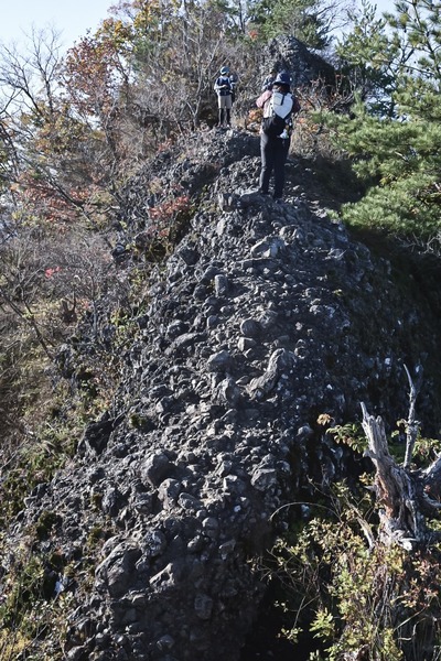 LINE_ALBUM_紅葉の生瀬富士・月居山_241125_20