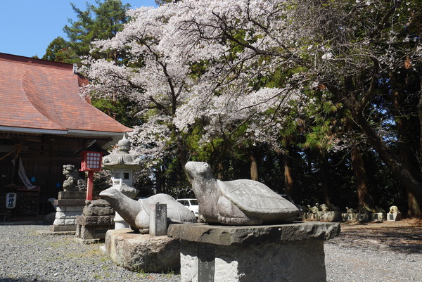 P1200757