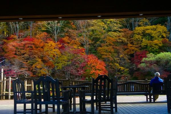 LRM_EXPORT_3440914488973_20181113_170027845