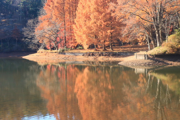 IMG_5705