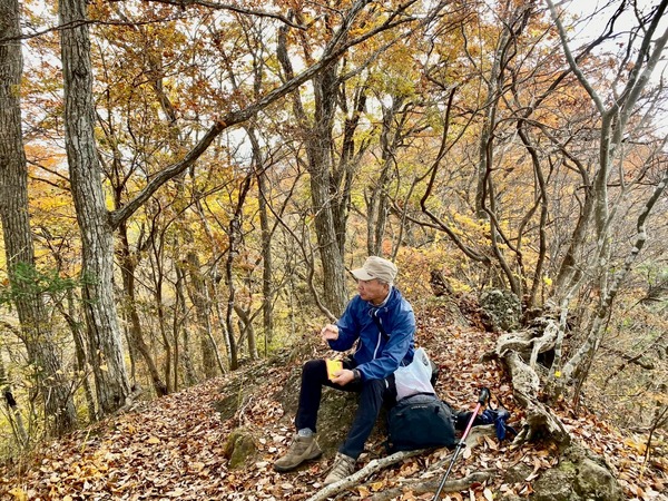 LINE_ALBUM_ナベコロアルバム_251120_2