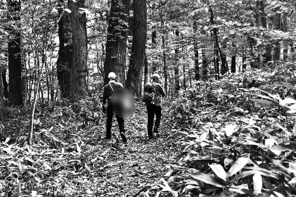 3b74fbbc-0862-4f7a-88cc-8a4cb584b55f