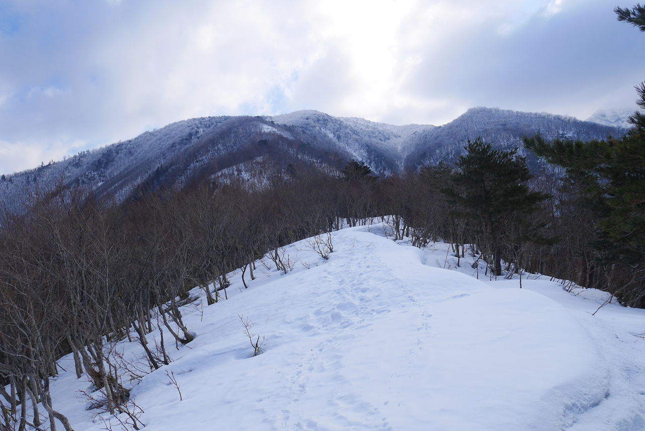 積雪期限定 樹氷と大展望の観音山 あの空に背伸びして 積雪期限定 樹氷と大展望の観音山 あの空に背伸びして