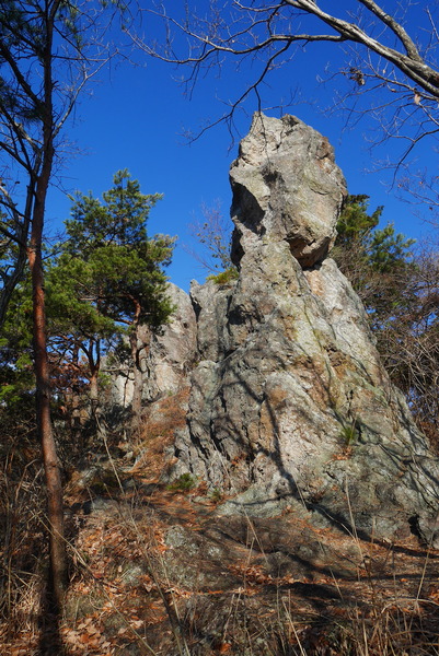 P1180885