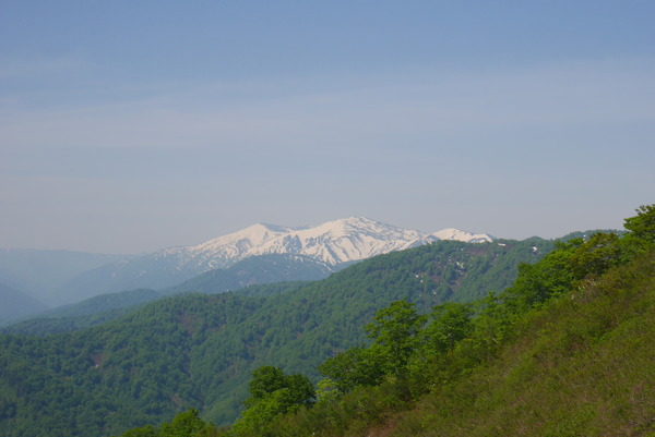 P1210267