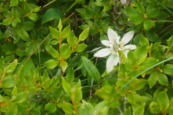 P1240156