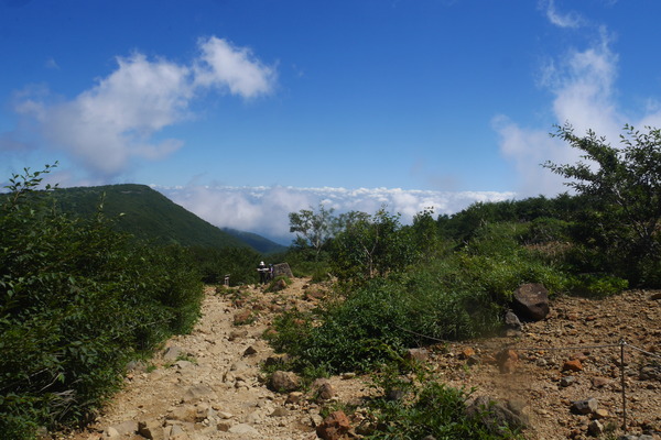 P1250196