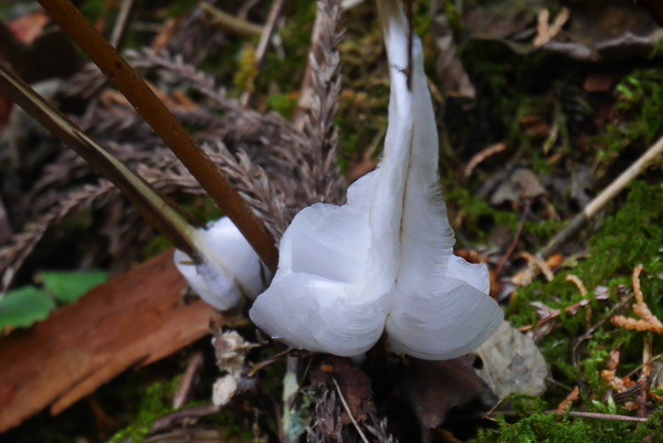 P1180999
