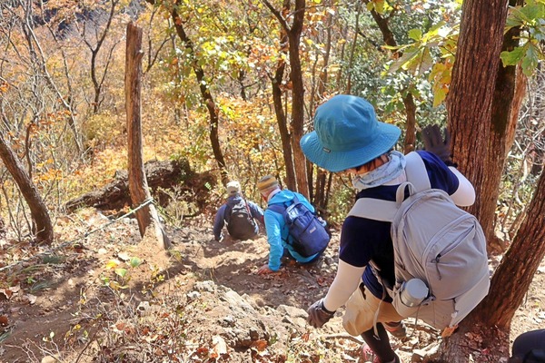 LINE_ALBUM_紅葉の生瀬富士・月居山_241125_3