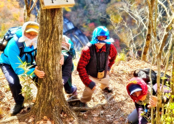 LINE_ALBUM_紅葉の生瀬富士・月居山_241124_3