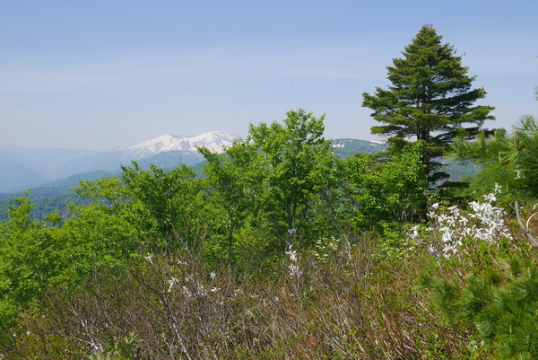 P1210278