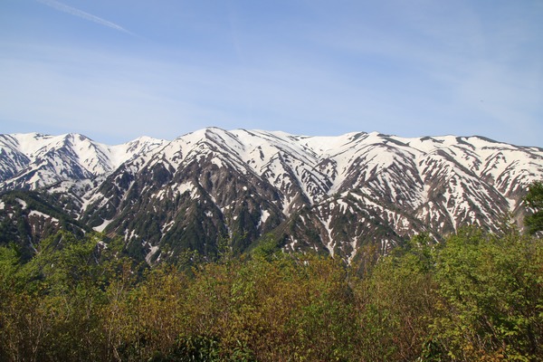 IMG_6939