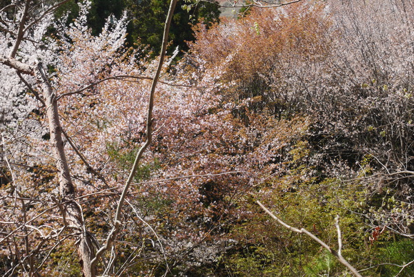 P1200777