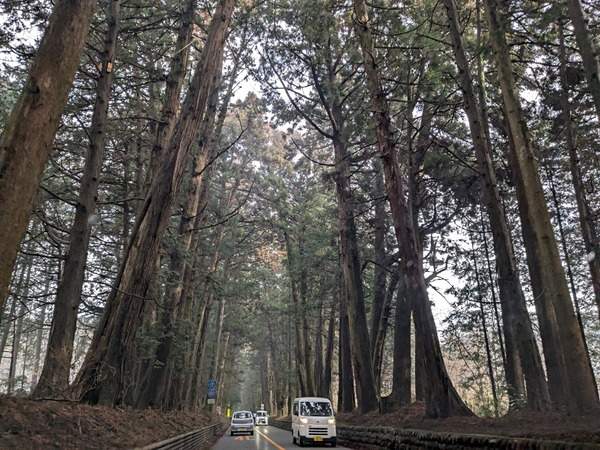 LINE_ALBUM_城山セリバオウレン_250306_1