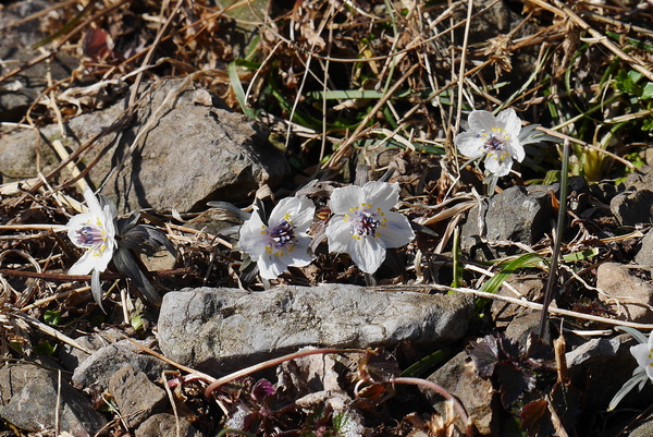 P1190978