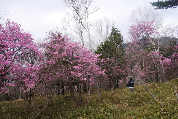 P1210072