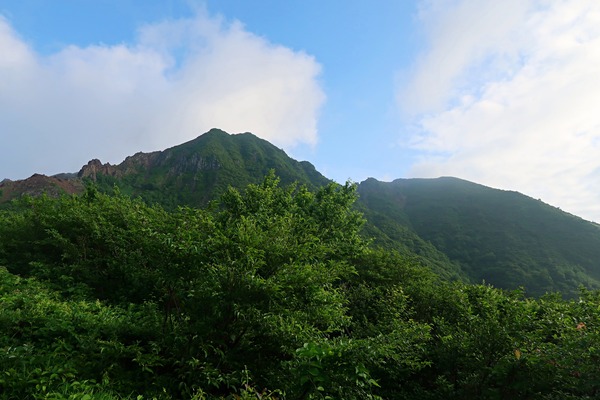 IMG_8258