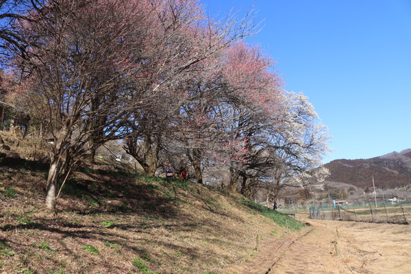 IMG_2290 - コピー