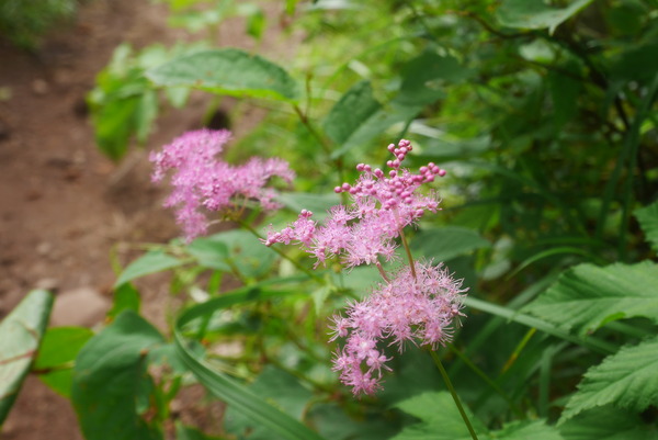 P1220644
