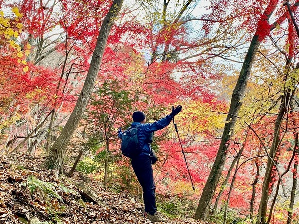 LINE_ALBUM_ナベコロアルバム_251120_3