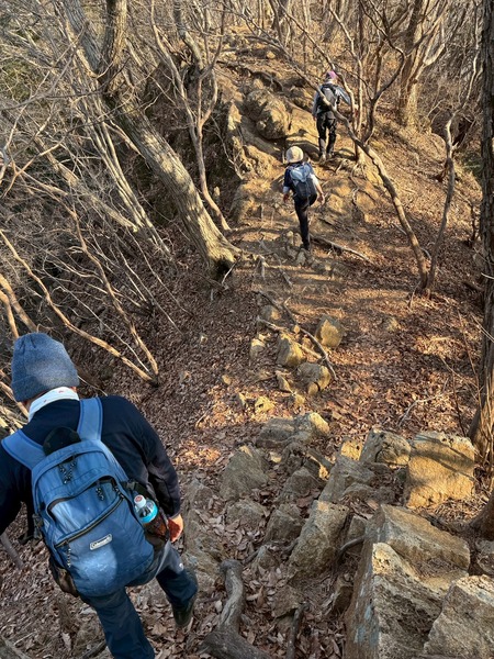 LINE_ALBUM_徳次郎アルプス、宇都宮アルプス_260119_6