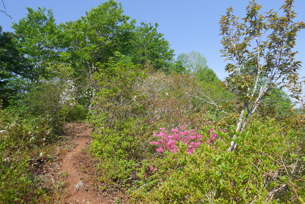 P1210202