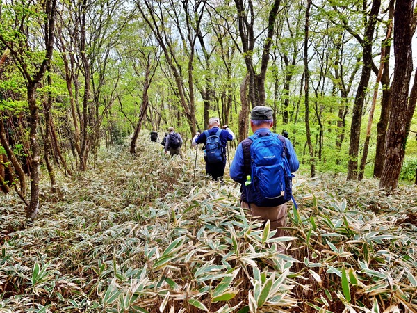 LINE_ALBUM_八溝山_260506_11
