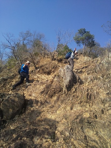 line_367017382150