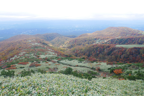 P1170041
