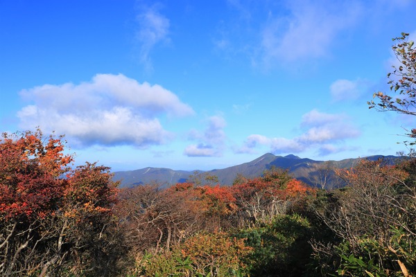 IMG_9106 (2)