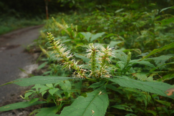 P1240383