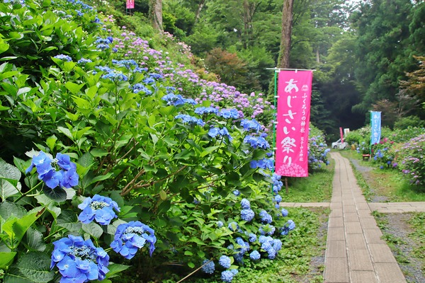 IMG_6736