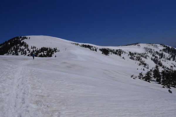 P1200993