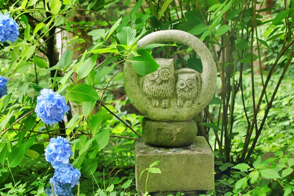 IMG_6719