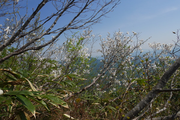 P1210231