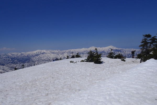 P1210020