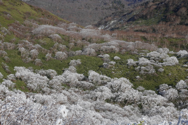 P1180472
