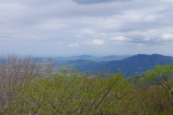 P1200931