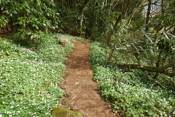 P1200910
