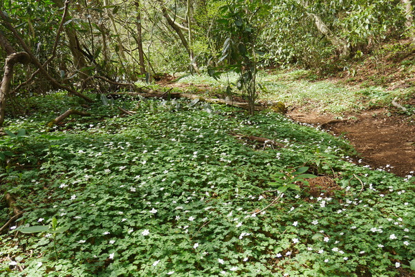 P1200908