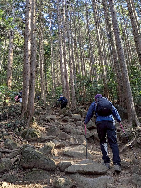 LINE_ALBUM_筑波山_260110_1